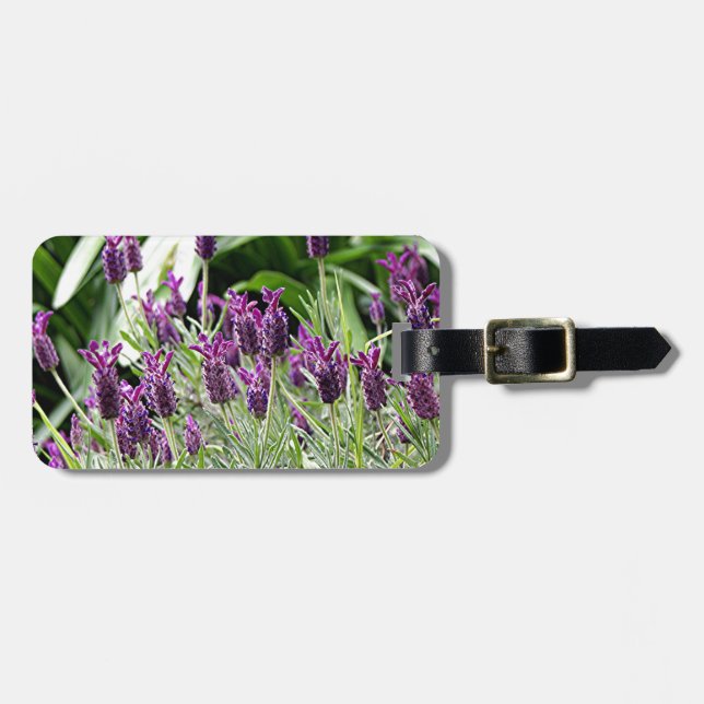 Lila- & gröntlavendel blommar i blom bagagebricka (Horisontell Framsida)