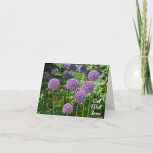 Lila Group of Allium Flowers kommer snart. Tack Kort