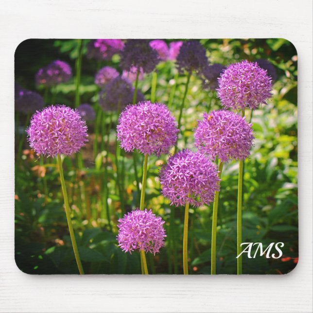 Lila Group of Allium Flowers Monogram Musmatta (Framsidan)