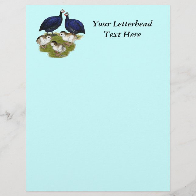 Lila Guinea Familj (Framsida)