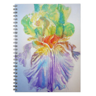 Lila Gul Iris Blommig Blommor Anteckningsbok