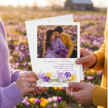 Lila Gul Krokus Blommig Foto Bröllop