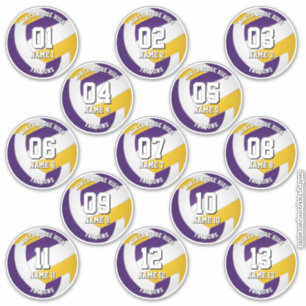 lila guld volleybollag klistermärken 13 idrottare