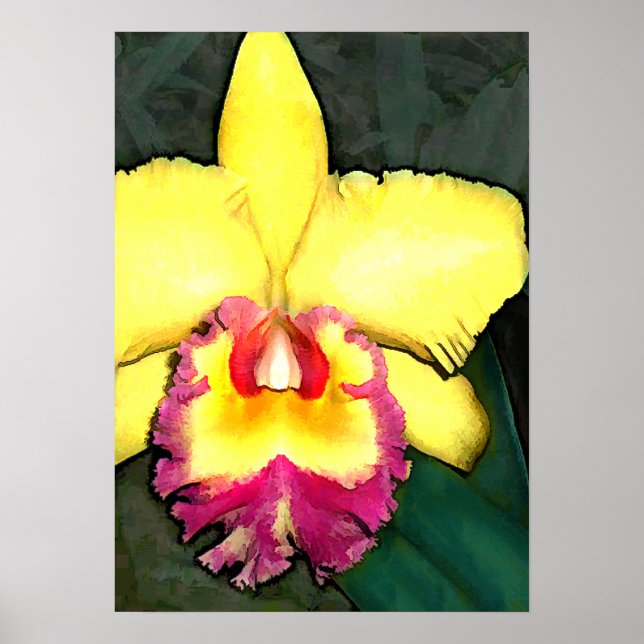 Lila & Gult Cattleya Orchid Poster (Framsidan)