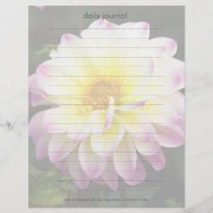 Lila, Gult och vita Dahlia