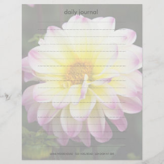 Lila, Gult och vita Dahlia