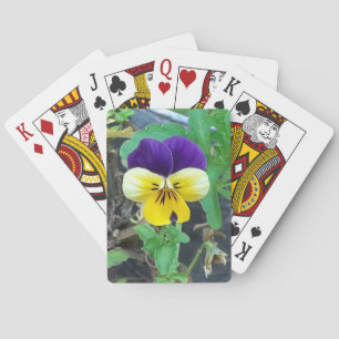 Lila & Gult Pansy Casinokort