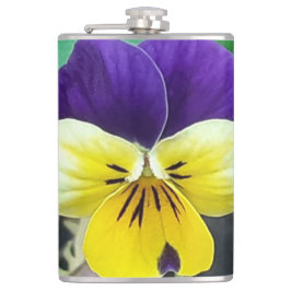 Lila & Gult Pansy Fickplunta