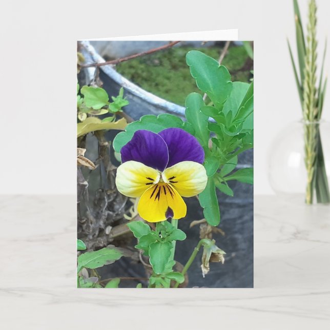 Lila & Gult Pansy Greeting Card Kort (Framsida)