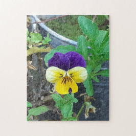 Lila & Gult Pansy Jigszle Puzzle Pussel