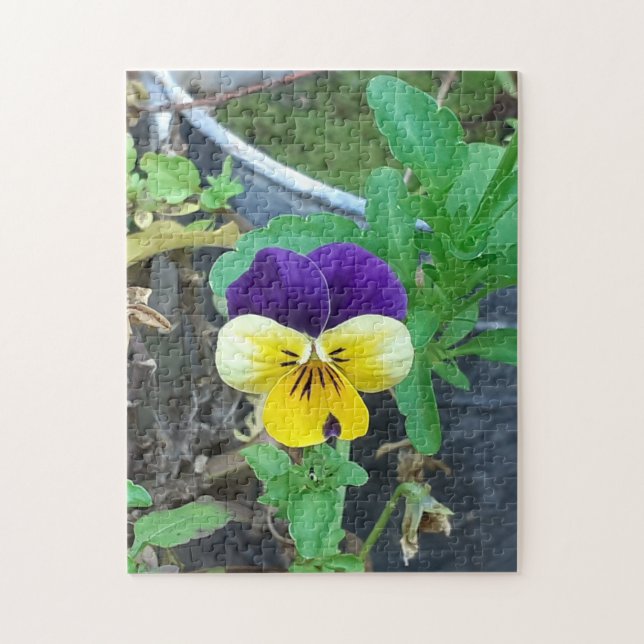 Lila & Gult Pansy Jigszle Puzzle Pussel (Vertikal)
