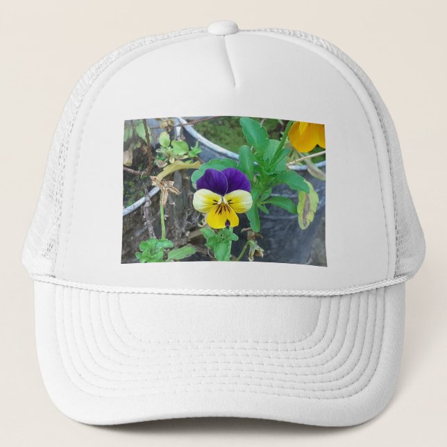 Lila & Gult Pansy Keps (Framsida)