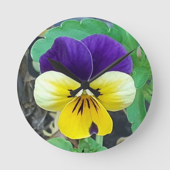 Lila & Gult Pansy Rund Klocka (Framsida)