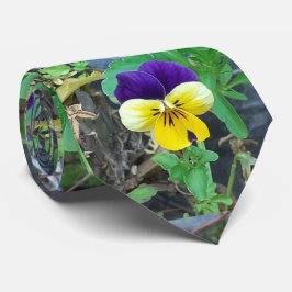 Lila & Gult Pansy Slips