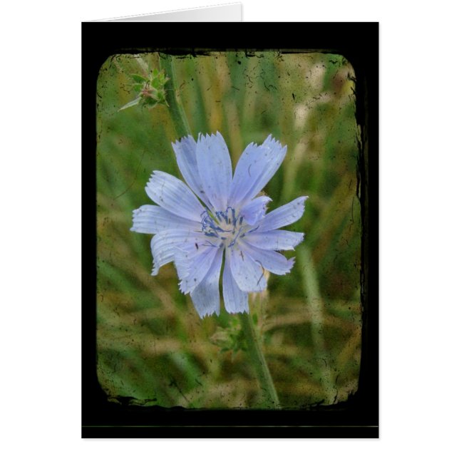 Lila Hälsningskort (Framsidan)