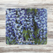 Lila Hanging Wisteria-Blommigten