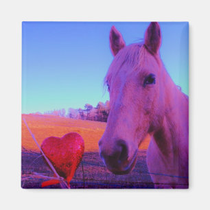 Lila Häst Valentine Red Heart Magnet