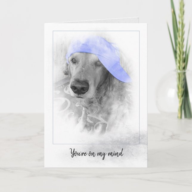 lila hat på Golden Retriever i grått ram Kort (Framsida)