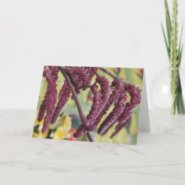 Lila Hazelnut i Vår Helgkort