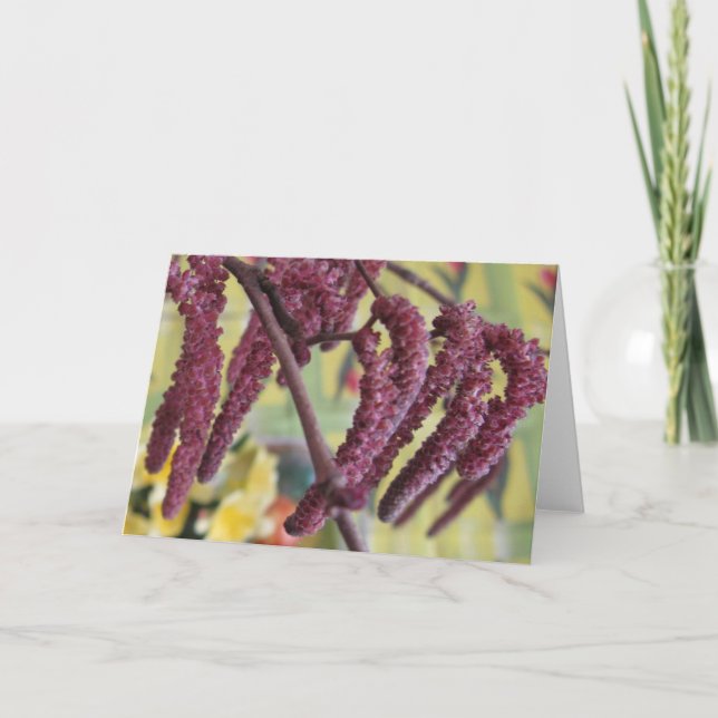 Lila Hazelnut i Vår Helgkort (Framsida)