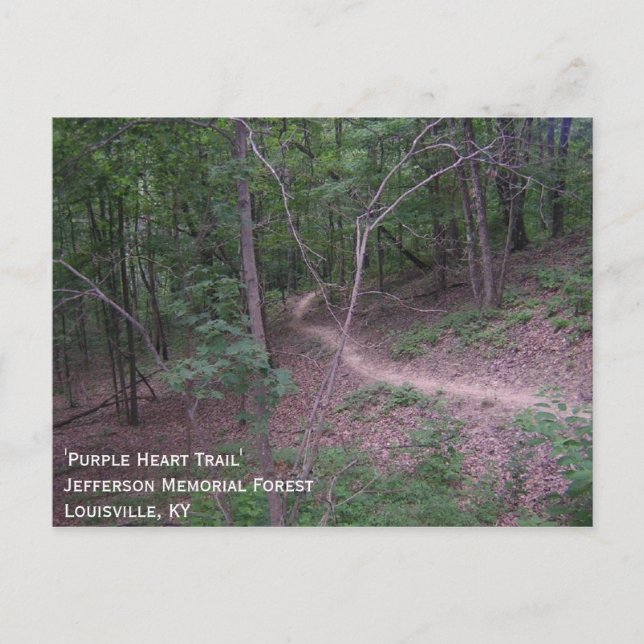 "Lila Heart Trail" Vykort (Framsida)