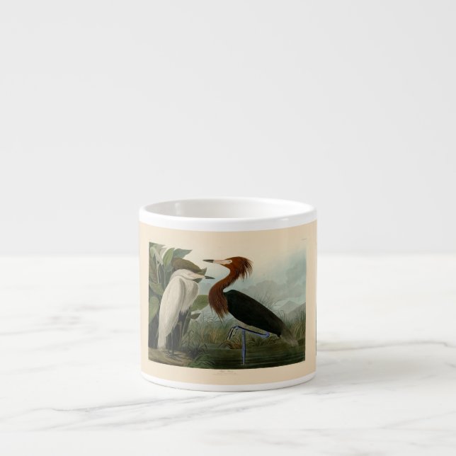 Lila Heron Audubon Bird Wildlife Painting Espressomugg (Framsidan)