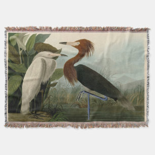 Lila Heron Audubon Bird Wildlife Painting Filt