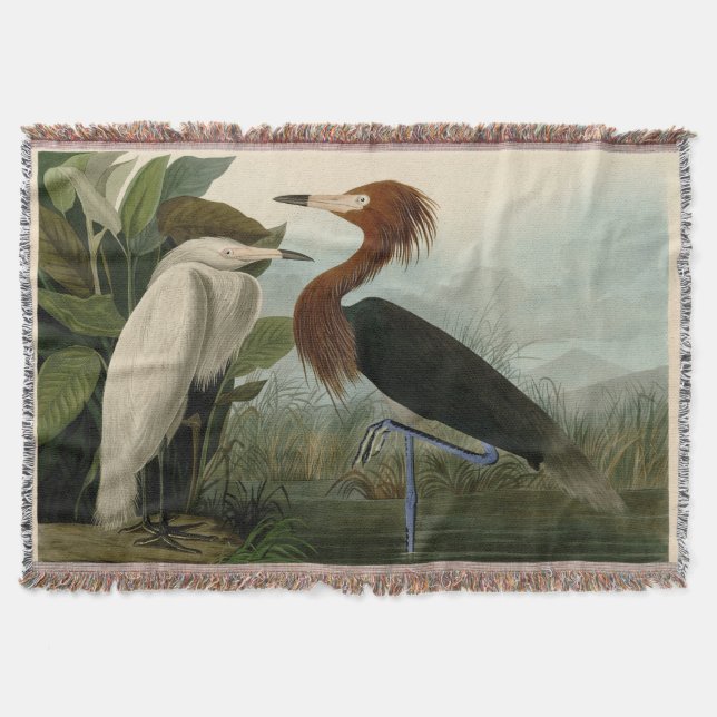Lila Heron Audubon Bird Wildlife Painting Filt (Framsidan)
