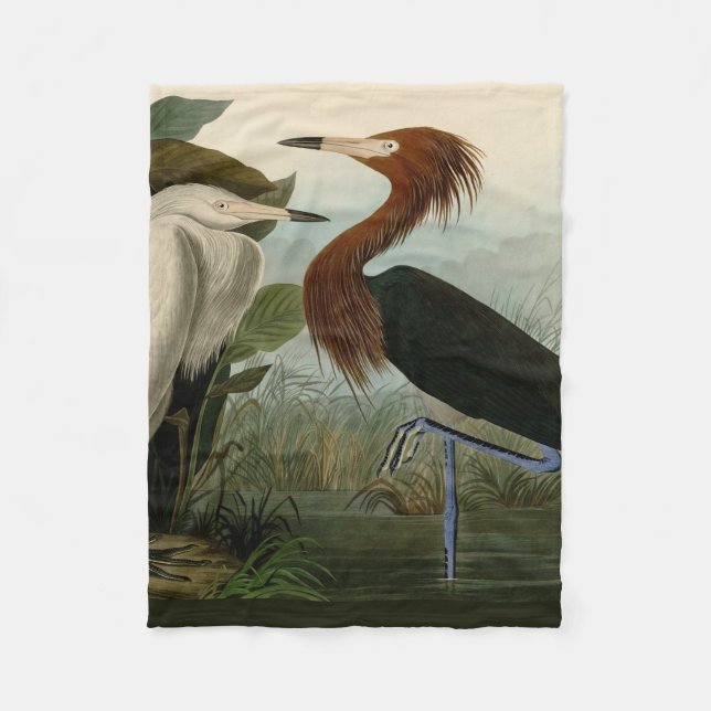 Lila Heron Audubon Bird Wildlife Painting Fleecefilt (Framsidan)