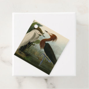 Lila Heron Audubon Bird Wildlife Painting Gåvor Etiketter