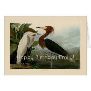 Lila Heron Audubon Bird Wildlife Painting Hälsningskort