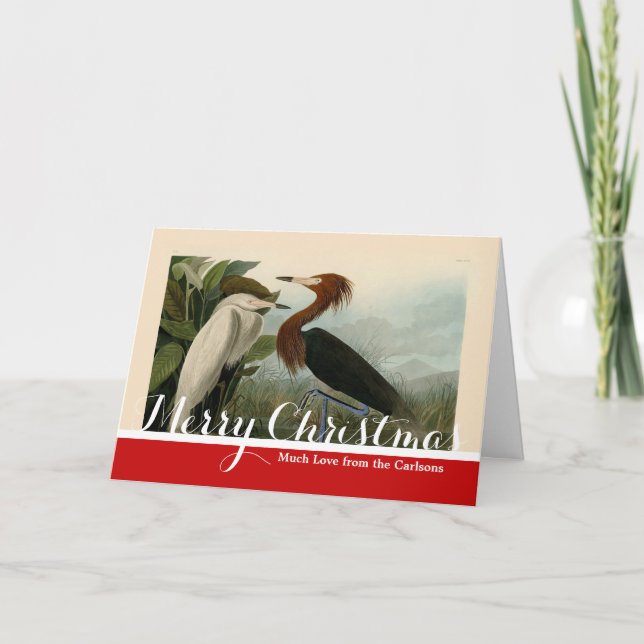 Lila Heron Audubon Bird Wildlife Painting Helgkort (Framsida)