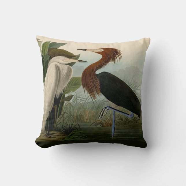 Lila Heron Audubon Bird Wildlife Painting Kudde (Framsida)