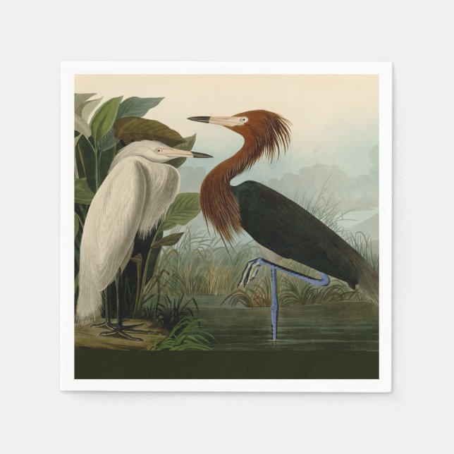 Lila Heron Audubon Bird Wildlife Painting Pappersservett (Framsidan)