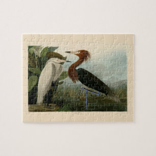 Lila Heron Audubon Bird Wildlife Painting Pussel