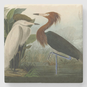 Lila Heron Audubon Bird Wildlife Painting Stenunderlägg