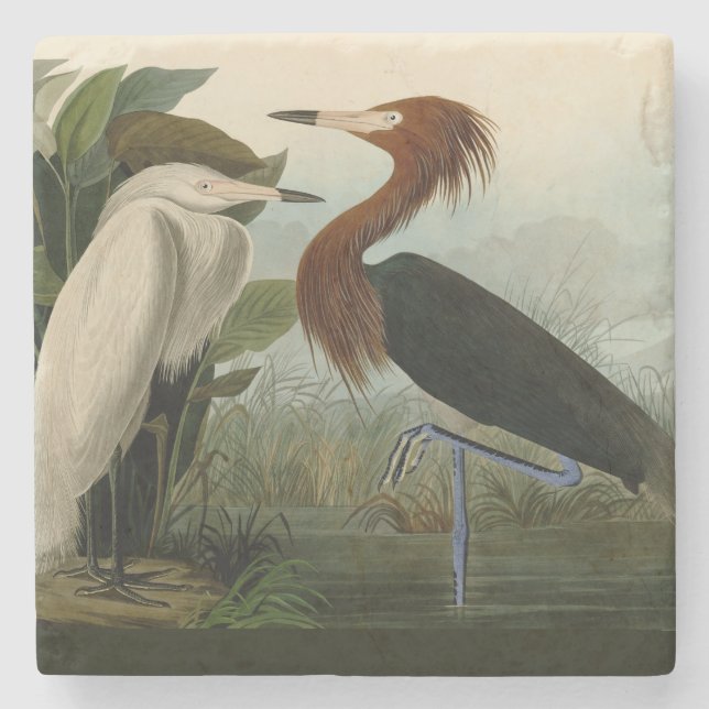 Lila Heron Audubon Bird Wildlife Painting Stenunderlägg (Framsidan)