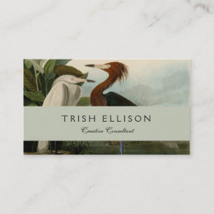 Lila Heron Audubon Bird Wildlife Painting Visitkort