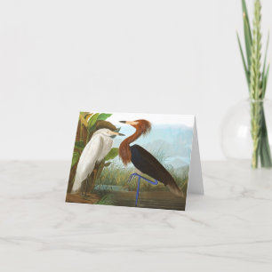 Lila Heron av John James Audubon Tack Kort