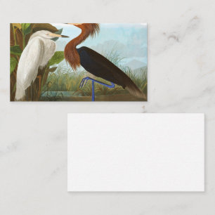 Lila Heron av John James Audubon Visitkort