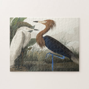 Lila Heron från amerikanska fåglar Pussel