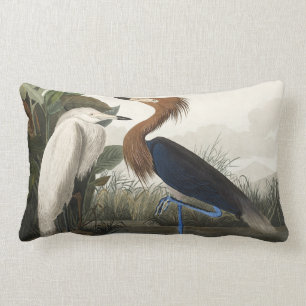 Lila Heron från fåglar i Amerika Lumbarkudde