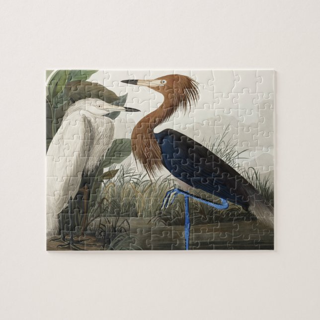 Lila Heron från fåglar i Amerika Pussel (Horisontell)