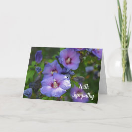 Lila Hibiscus blomma med sympati Kort