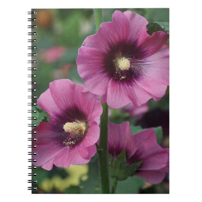 Lila hibiscus-blommor anteckningsbok (Framsidan)