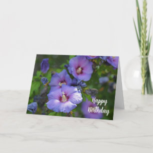 Lila Hibiscus Firande födelsedag Kort
