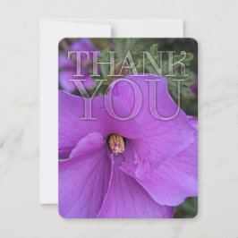 Lila Hibiscus Flower Tack Kort