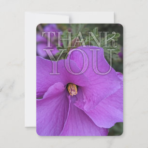 Lila Hibiscus Flower Tack Kort