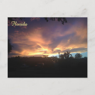 Lila Himlar Sunset-vykort Vykort