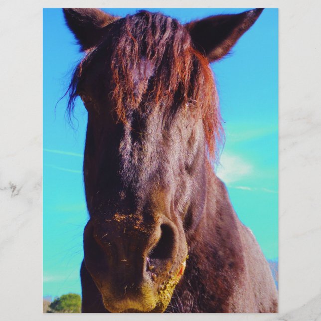 Lila Horse w/ Grönt Mouth (Framsida)